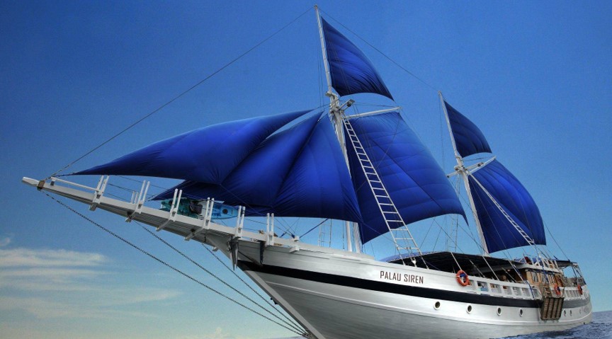 �﷫������k��Ǯ��֮�����ֻ�������