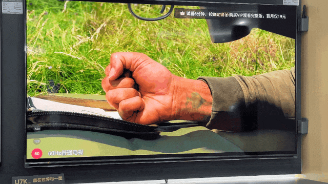 1699867190237661.gif 640-4.gif