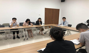 �����ֹ�˾��ȵ��������չ��ϵͳ�½��ܽ����