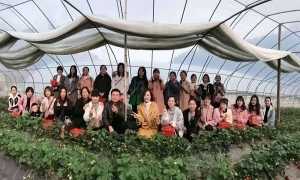 ����������Ů��� ��Լ������