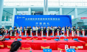 BIFF2019ҫ���������������Ҿ����ģ�