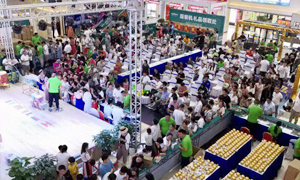 ���̸��� �����ഫ&mdash;���ո�������ͻ������ѵԲ��ʵ�� 